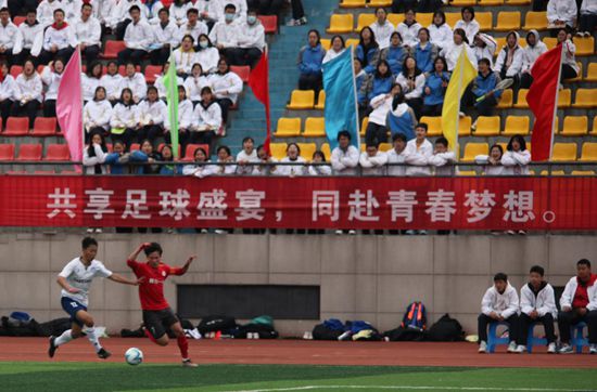 粤语中字无删减在线播放