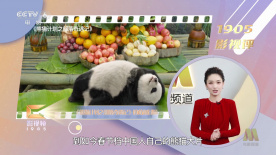 超清无删减在线播放